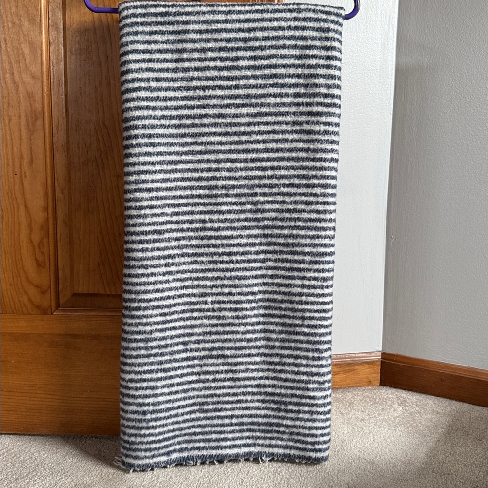 Pottery Barn Blue and White Striped Fringe Throw
